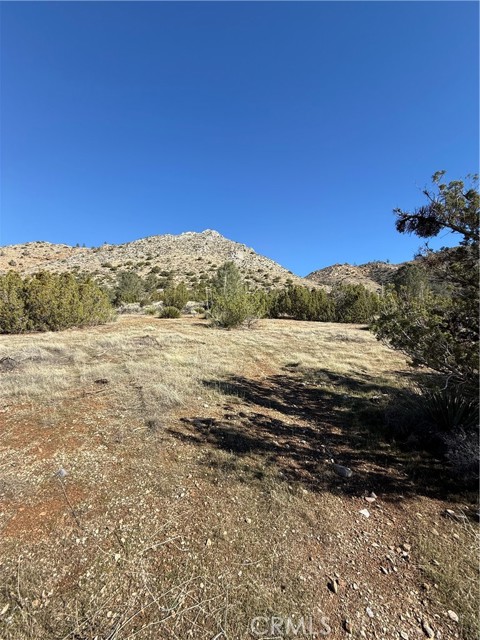 Detail Gallery Image 4 of 13 For 116 Parcel Map, Bodfish,  CA 93205 - – Beds | – Baths