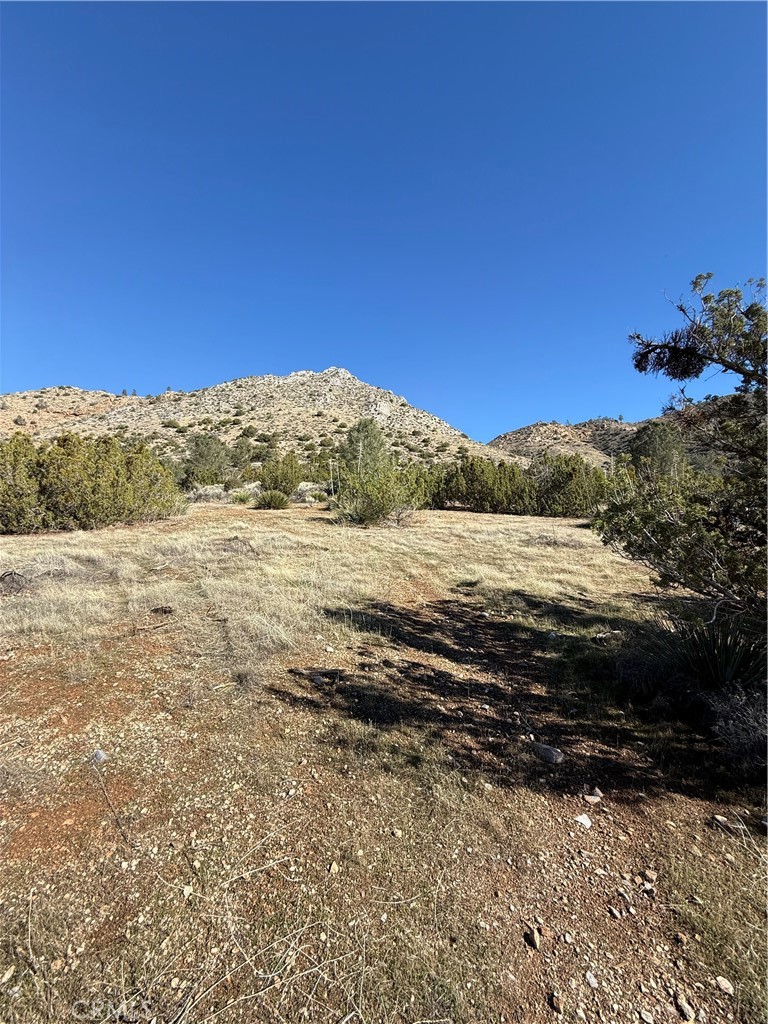 MLS #PW25248137 image #3