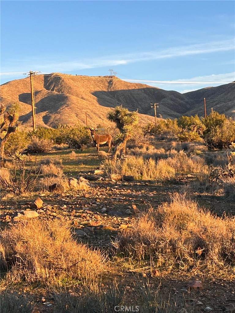 MLS #HD25271382 image #24