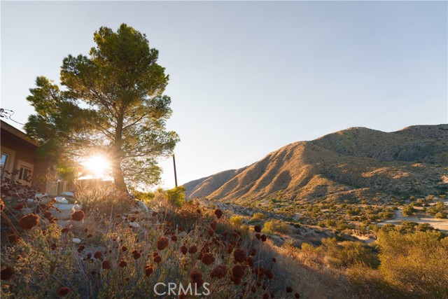 Detail Gallery Image 38 of 38 For 48823 Tamarisk Dr, Morongo Valley,  CA 92256 - 2 Beds | 2 Baths