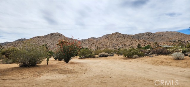 Detail Gallery Image 33 of 40 For 61476 Sandalwood Trl, Joshua Tree,  CA 92252 - 2 Beds | 2 Baths