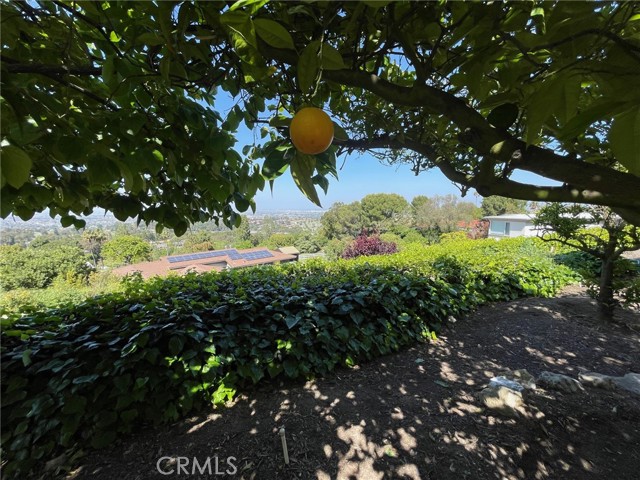 27965 Palos Verdes Drive, Rancho Palos Verdes, California 90275, 3 Bedrooms Bedrooms, ,3 BathroomsBathrooms,Residential,Sold,Palos Verdes,PV24094964