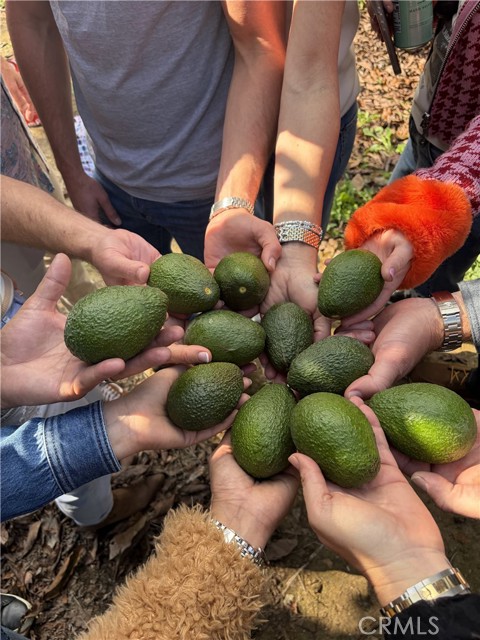 4 Calle Uva, Temecula CA: https://media.crmls.org/medias/bcfe5337-b24a-4cec-9cec-991e2931a21c.jpg