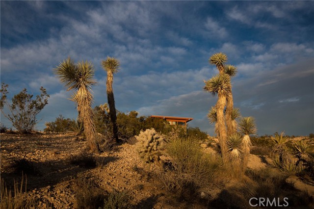 Detail Gallery Image 38 of 42 For 4981 Bonmar Rd, Yucca Valley,  CA 92284 - 2 Beds | 2 Baths