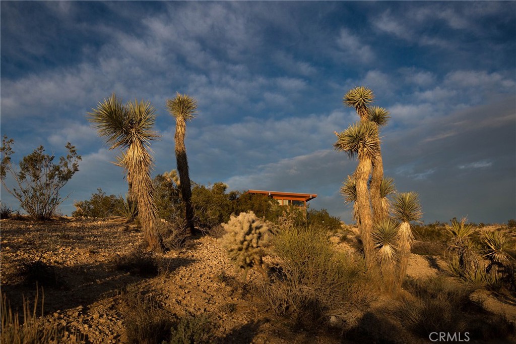 MLS #OC25276005 image #37