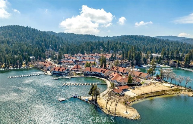 Detail Gallery Image 41 of 44 For 27312 Little Bear, Lake Arrowhead,  CA 92317 - 4 Beds | 4/1 Baths