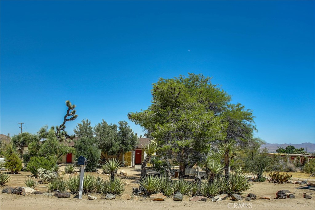 MLS #JT25238797 image #7