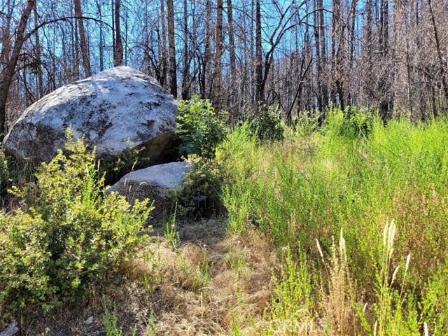 1 Bald Rock Road, Berry Creek, CA, 95916 1 Bald Rock Road, Berry Creek, CA, 95916
