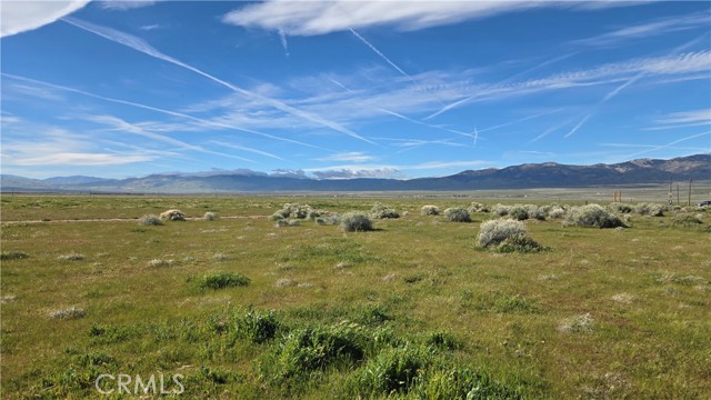 Detail Gallery Image 29 of 36 For 0 Vicinity Ave B12 & 265th St W, –,  CA 93536 - – Beds | – Baths