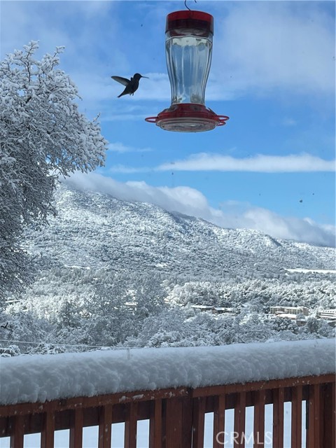 Detail Gallery Image 74 of 74 For 40733 Big Oak Flat, Oakhurst,  CA 93644 - 3 Beds | 2 Baths