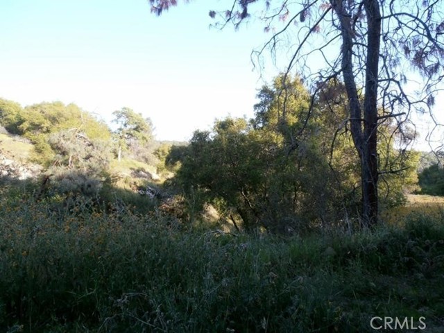 Detail Gallery Image 6 of 64 For 37 Lynx Ln, Prather,  CA 93651 - – Beds | – Baths