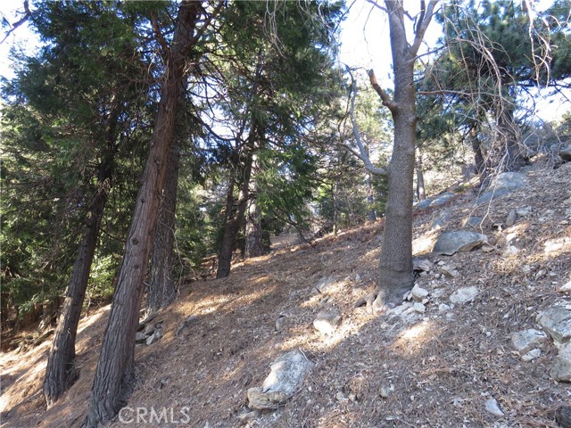 0 Peak Circle, Cedarpines Park, California 92322, ,Land,For Sale,0 Peak Circle,CRCV23013750