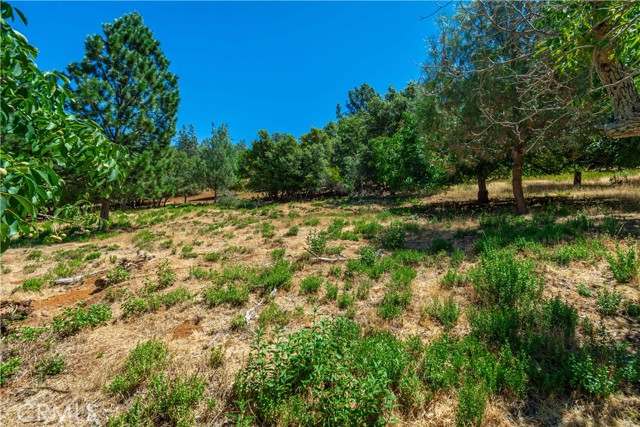 Detail Gallery Image 70 of 75 For 3126 Edgewood Drive, Kelseyville,  CA 95451 - – Beds | – Baths