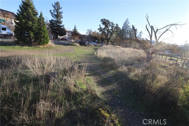 21198 State Highway 175, Middletown, California 95461, ,Land,For Sale,21198 State Highway 175,CRLC23218465