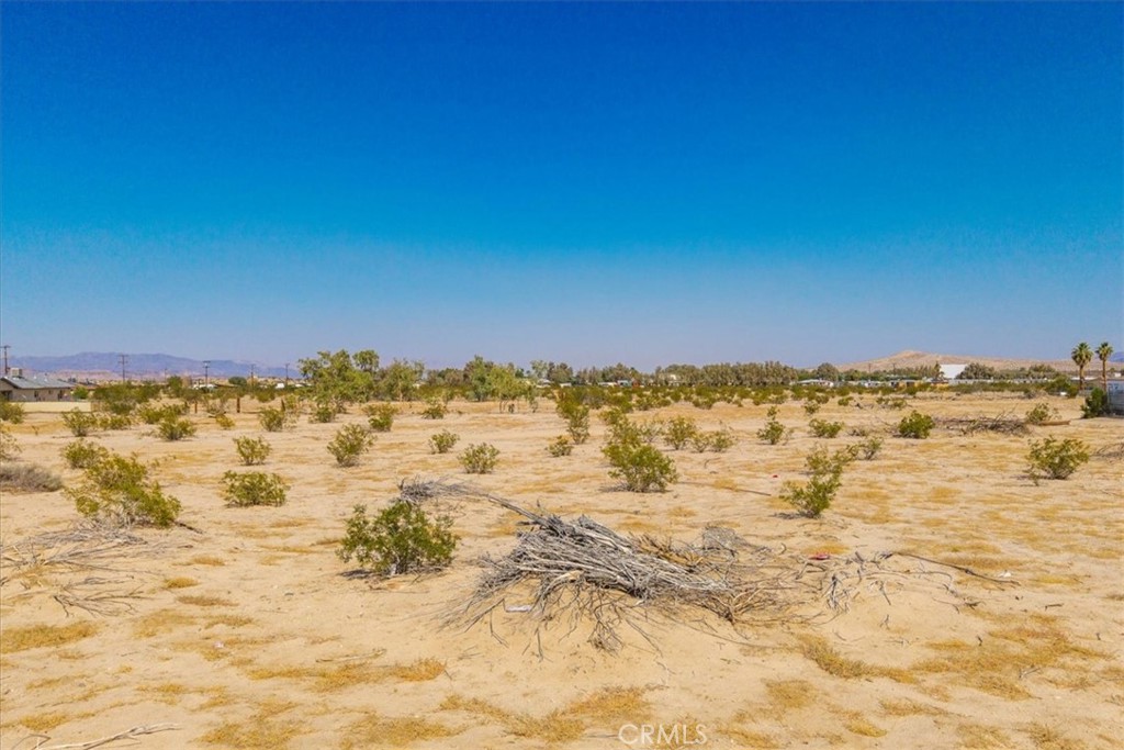 MLS #JT25177017 img 20