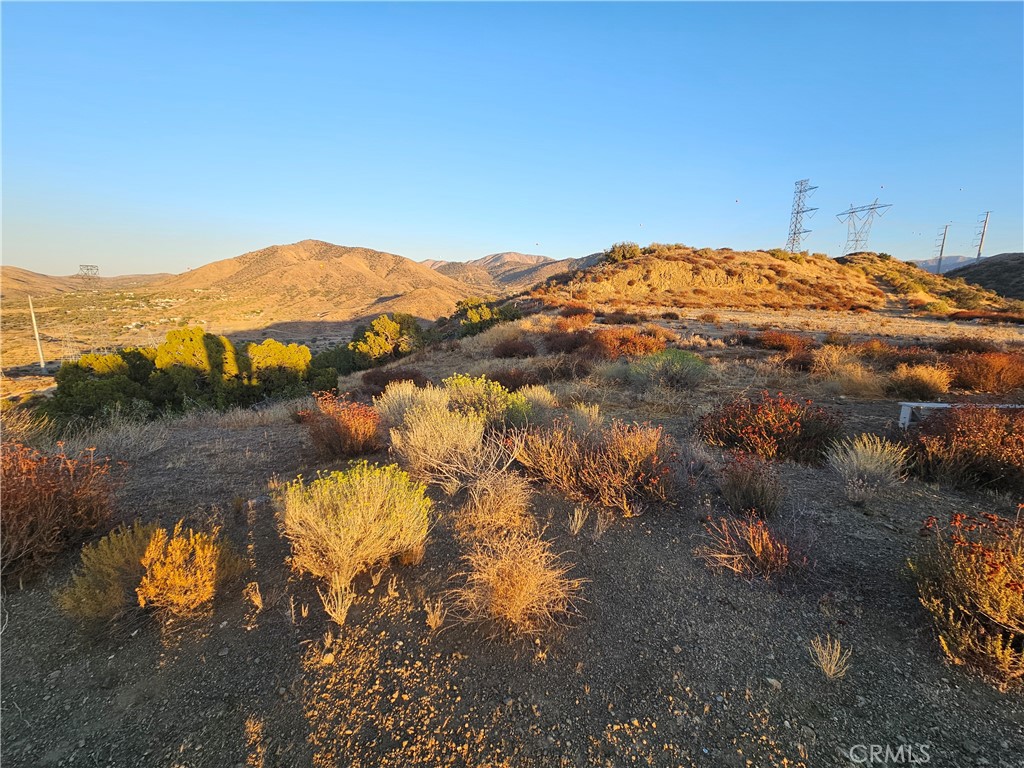 MLS #DW25180755 image #12