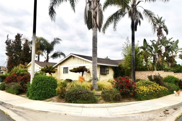 802 Calle Camelia photo 4