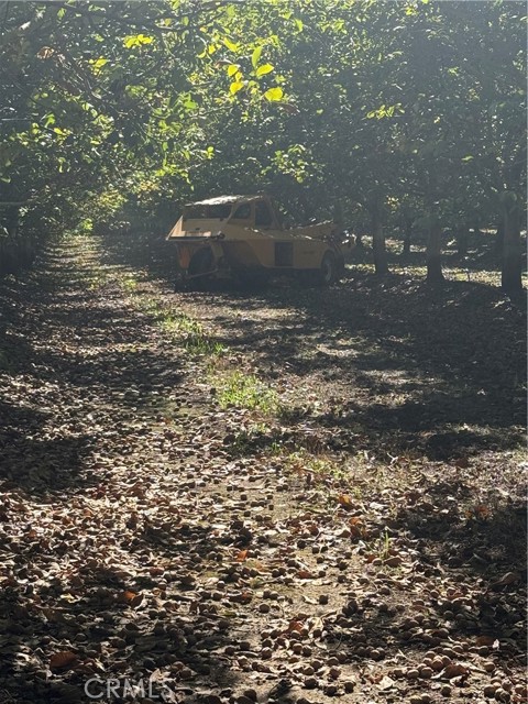 Detail Gallery Image 13 of 19 For 0 Rawson Road, Gerber,  CA 96035 - – Beds | – Baths