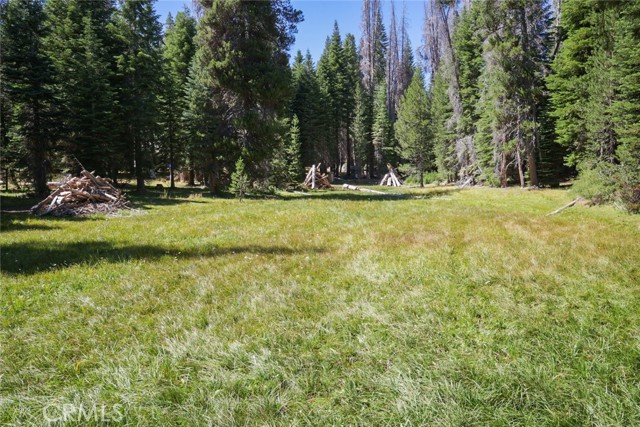 67922 Beasore Road, Bass Lake CA: https://media.crmls.org/medias/bd46a68f-664f-4e72-a989-26753f3400ee.jpg