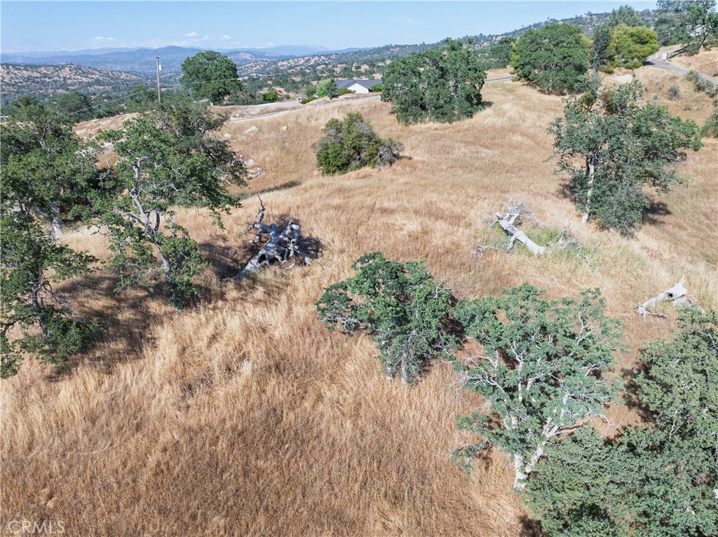 MLS #FR25100553 image #32