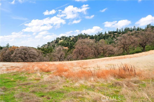 Detail Gallery Image 31 of 49 For 9000 Figueroa Mountain Rd, Los Olivos,  CA 93441 - 2 Beds | 1 Baths