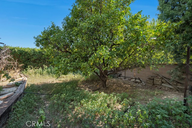 11583 Zelzah Avenue photo 56