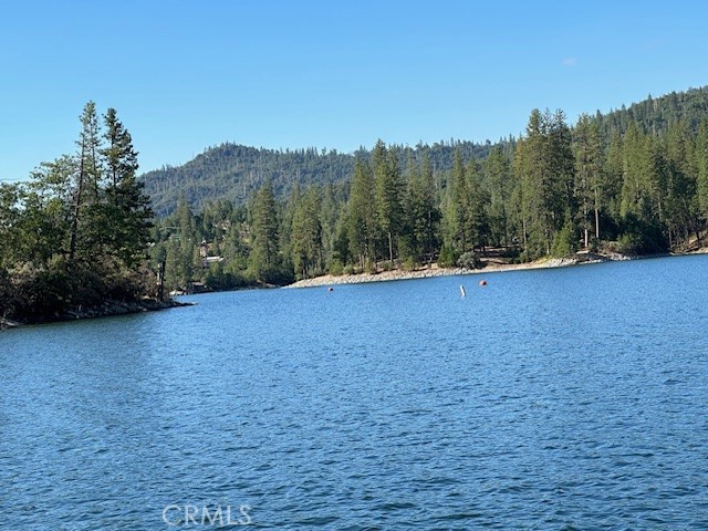 Detail Gallery Image 44 of 50 For Address Is Not Disclosed, Bass Lake,  CA 93604 - 4 Beds | 4 Baths