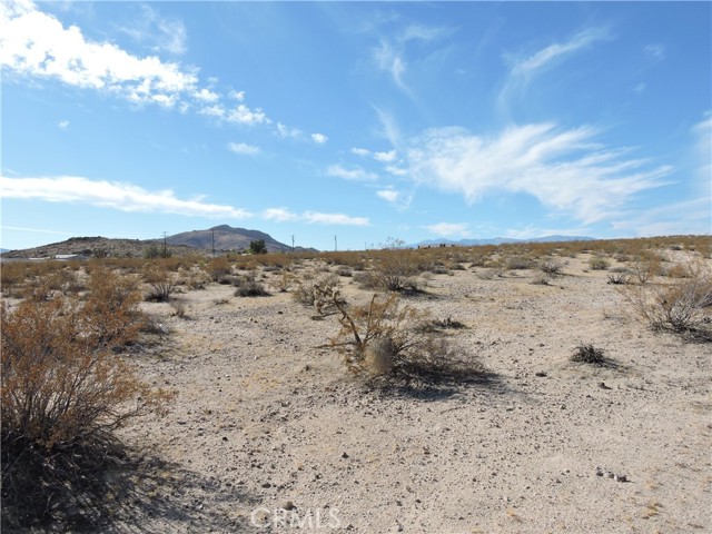 Detail Gallery Image 9 of 15 For 0 Stonehill Ave, Joshua Tree,  CA 92252 - – Beds | – Baths