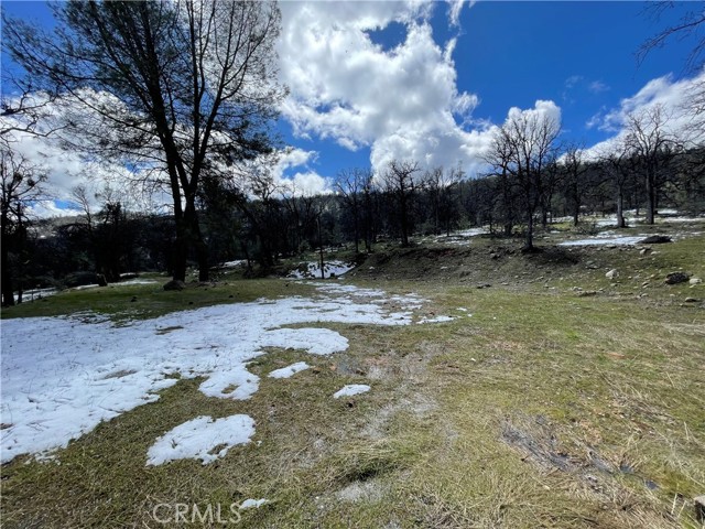 Detail Gallery Image 6 of 20 For 5799 Corey Pines Rd, Mariposa,  CA 95338 - – Beds | – Baths