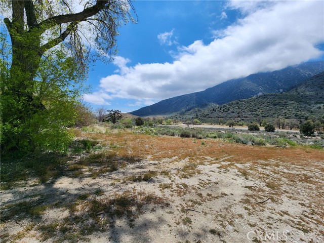 Image 8 of 11 For 3224 Mt Pinos Way