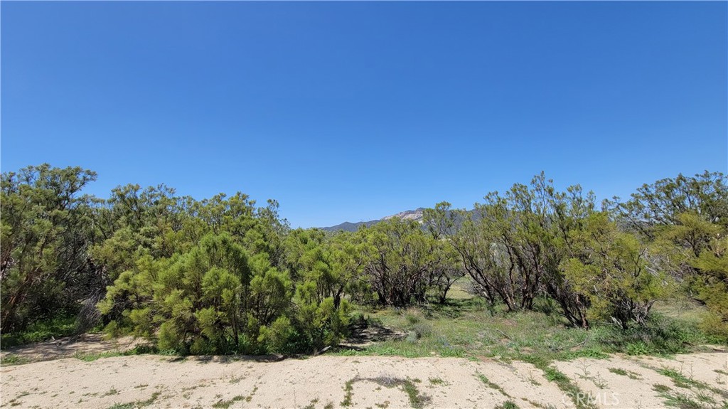 53409 Pony Trail