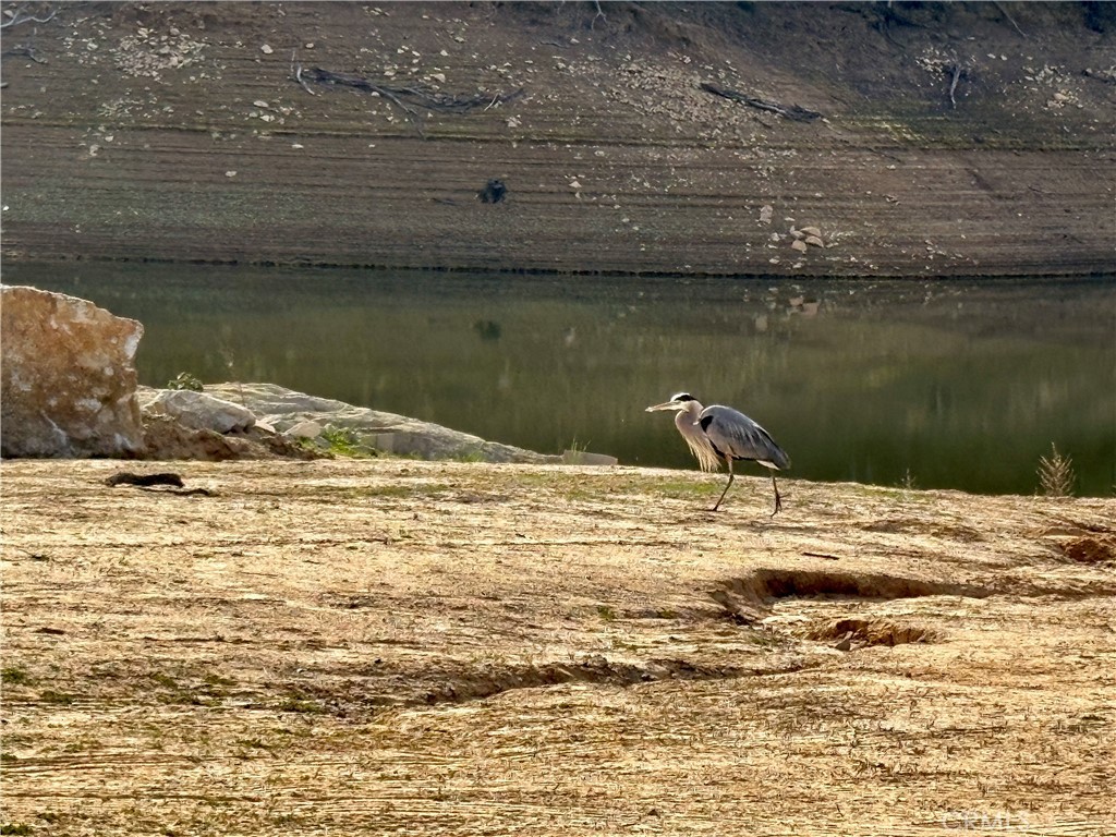 https://media.crmls.org/medias/bd6353a2-61bf-489a-9ec0-ccfd8466858c.jpg?preset=X-Large