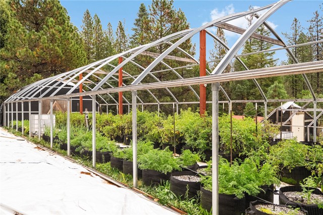 Detail Gallery Image 50 of 68 For 18774 Challenge Cut off Rd, Forbestown,  CA 95941 - 5 Beds | 3 Baths