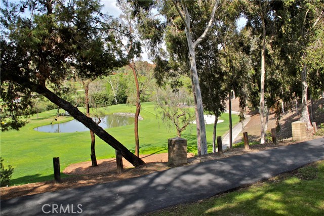 Bd72dccd 95d2 4155 Aa92 Fe39feccf986