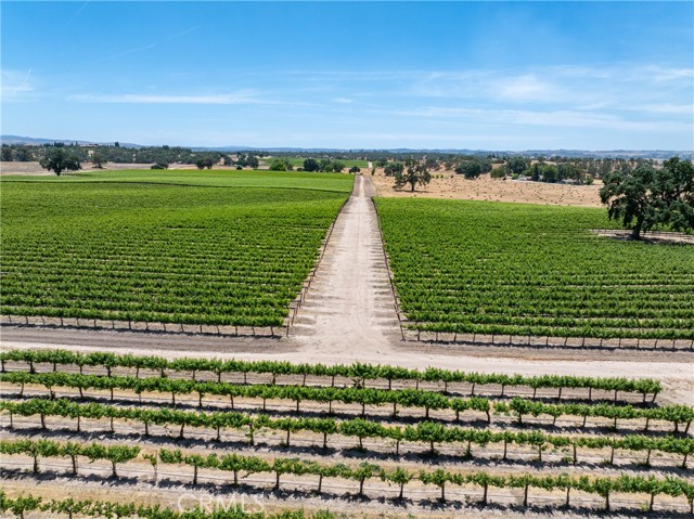 Detail Gallery Image 9 of 33 For 5275 Camp 8 Rd, Paso Robles,  CA 93446 - 12 Beds | 7/1 Baths
