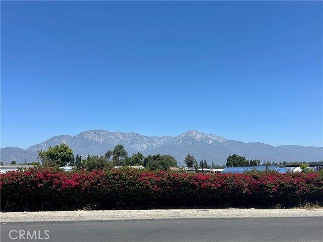 409 Verna Street, Upland CA: https://media.crmls.org/medias/bd74af3a-e079-4161-8e30-7a7da0989629.jpg