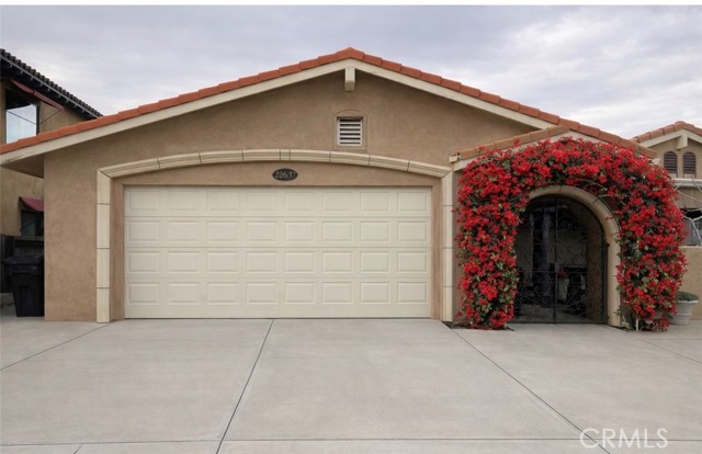 Front Image Thumbnail for CROC26053683