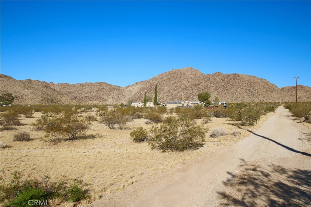 MLS #JT25246863 image #9