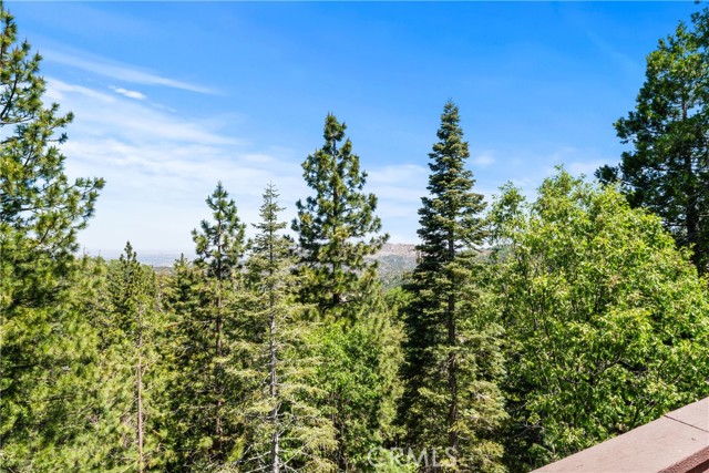 Detail Gallery Image 46 of 58 For 293 Fairway Dr, Lake Arrowhead,  CA 92352 - 6 Beds | 7/1 Baths