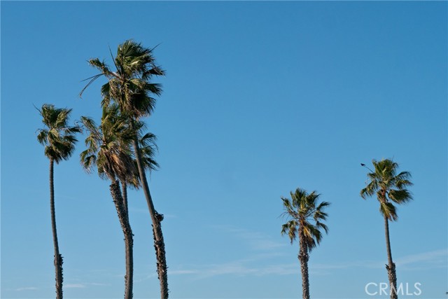 Detail Gallery Image 37 of 38 For 17202 Corbina Ln #205,  Huntington Beach,  CA 92649 - 1 Beds | 1 Baths