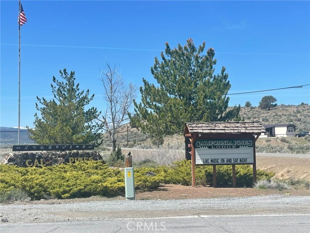 0 Yellow Pine Drive, Alturas, California 96101, ,Land,For Sale,0 Yellow Pine Drive,CROC23191882