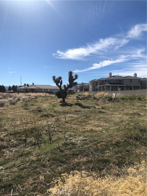 Detail Gallery Image 4 of 19 For 0 Vac/Vic Avenue M14/35th Stw, Lancaster,  CA 93536 - – Beds | – Baths