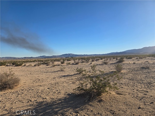 Detail Gallery Image 6 of 6 For 1234 Amboy, Twentynine Palms,  CA 92277 - – Beds | – Baths