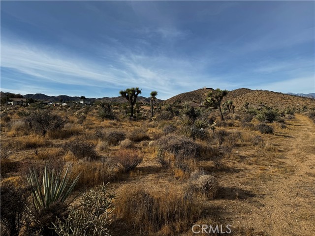 Detail Gallery Image 6 of 12 For 0 Plute Trl, Yucca Valley,  CA 92284 - – Beds | – Baths