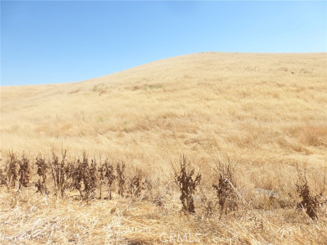 Detail Gallery Image 23 of 42 For 0 Douglas Rd. (Lots 40-43), San Miguel,  CA 93451 - – Beds | – Baths