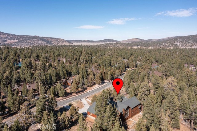 Detail Gallery Image 51 of 51 For 1086 Heritage, Big Bear City,  CA 92314 - 4 Beds | 4/2 Baths