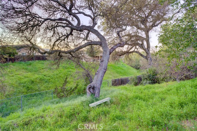 Detail Gallery Image 52 of 60 For 842 Saint Andrews, Paso Robles,  CA 93446 - 3 Beds | 2 Baths