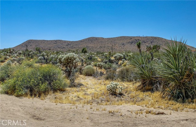 Detail Gallery Image 49 of 63 For 5407 Paradise View Rd, Yucca Valley,  CA 92284 - 3 Beds | 2 Baths