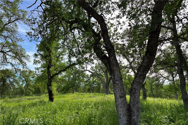 Detail Gallery Image 19 of 26 For 16475 River Heights Dr, Red Bluff,  CA 96080 - – Beds | – Baths