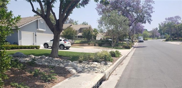 1246 Washington Street, Riverside, California 92506, ,Commercial Lease,For Rent,1246 Washington Street,CRAR24040255